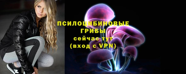 сатива Касимов