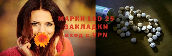 стаф Аркадак