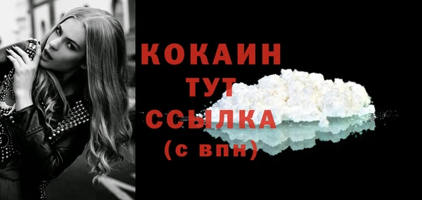 молекула духа Арсеньев