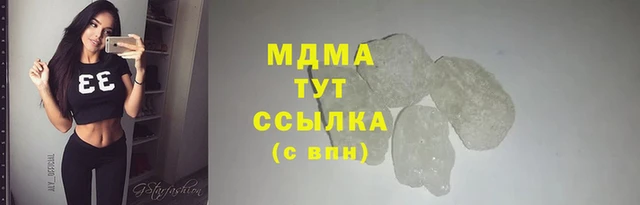 стаф Аркадак