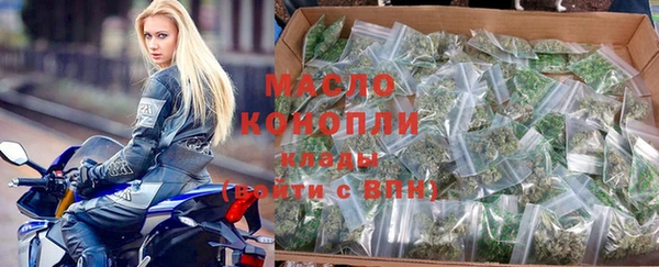 молекула духа Арсеньев