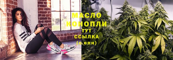 стаф Аркадак