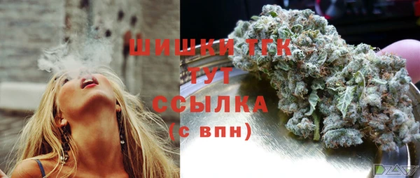 молекула духа Арсеньев