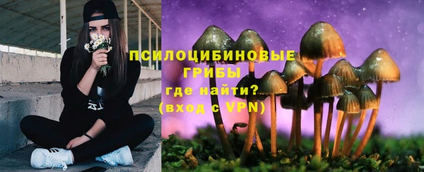 молекула духа Арсеньев