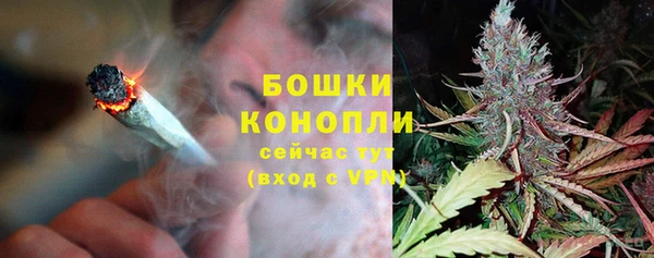 стаф Аркадак