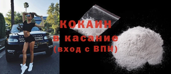 молекула духа Арсеньев