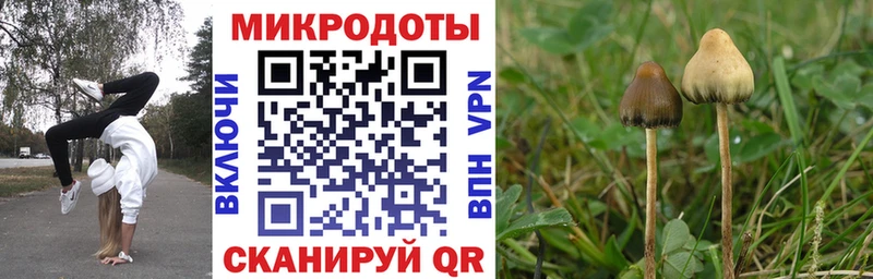 Псилоцибиновые грибы Psilocybe  кракен tor  Волгодонск 