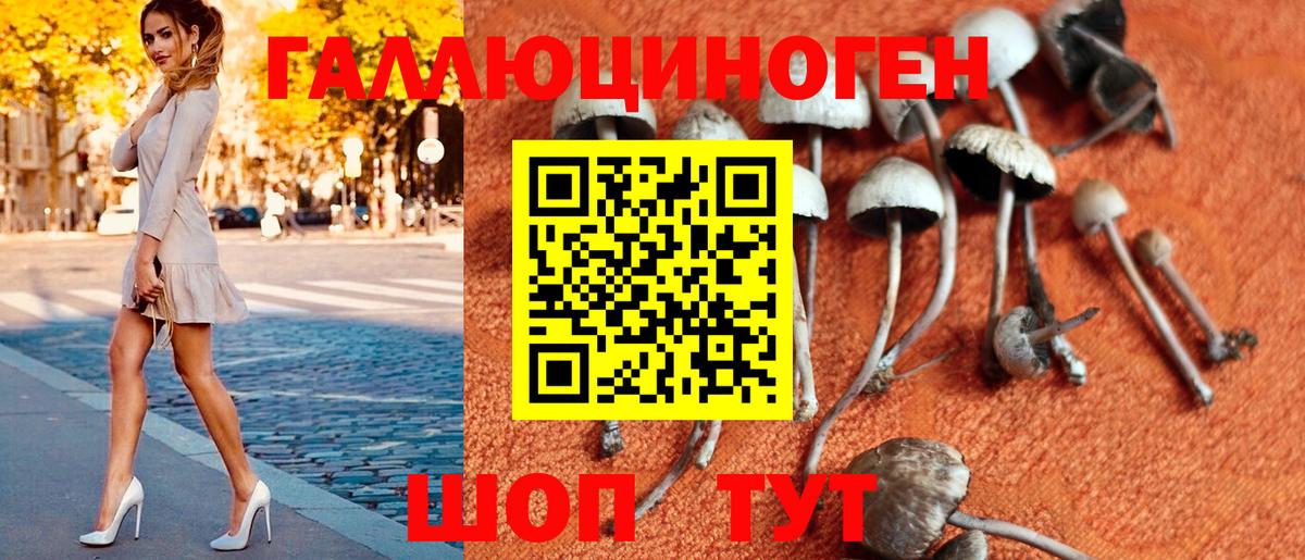 Волгодонск  Псилоцибиновые грибы Cubensis  Вход с VPN  Псилоцибиновые грибы MAGIC MUSHROOMS 