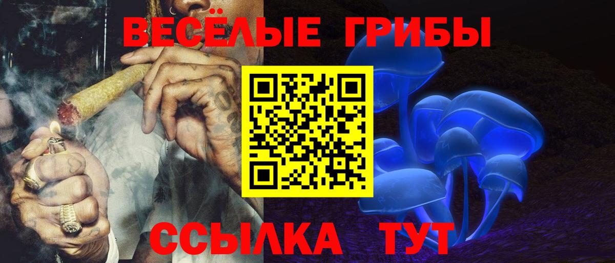 Псилоцибиновые грибы мухоморы Волгодонск